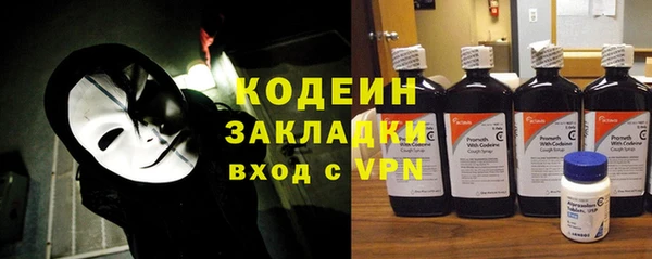 хмурый Алексин