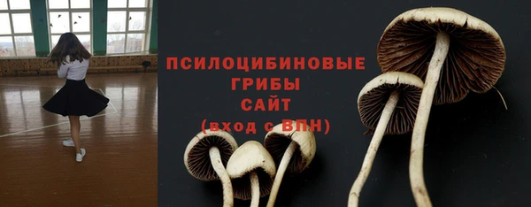 трава Алзамай