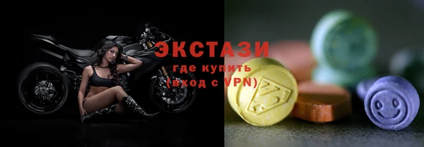 хмурый Алексин