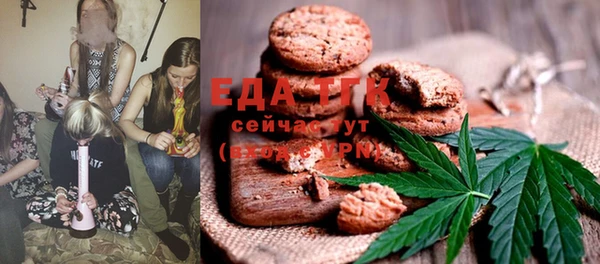 хмурый Алексин